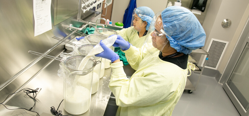 workers filtering the milk out 
