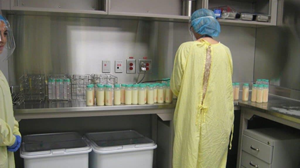 A staff member in a yellow gown and blue hairnet stands at a stainless steel counter lined with filled donor milk bottles ready to be sealed.