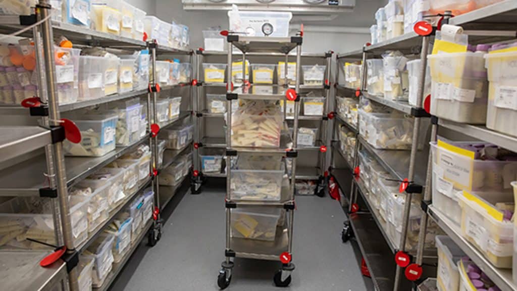 A large walk-in freezer filled with organized shelves of labeled donor milk bags, with metal carts positioned in the centre of the aisle.