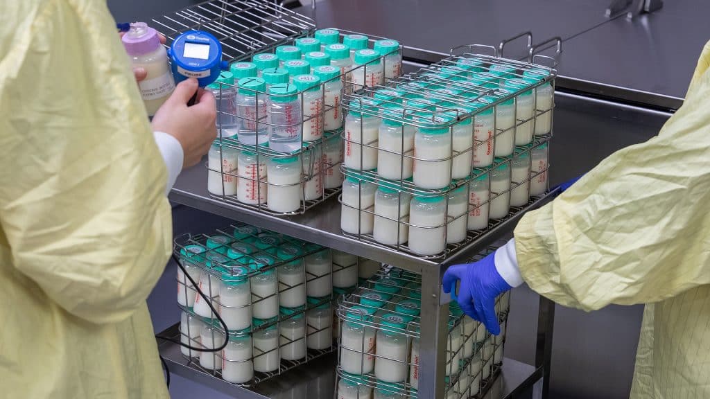 Milk Bank team getting bottles of sealed donor milk ready for pasteurization