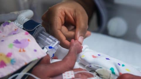 parent holding hand of baby inside an incubator