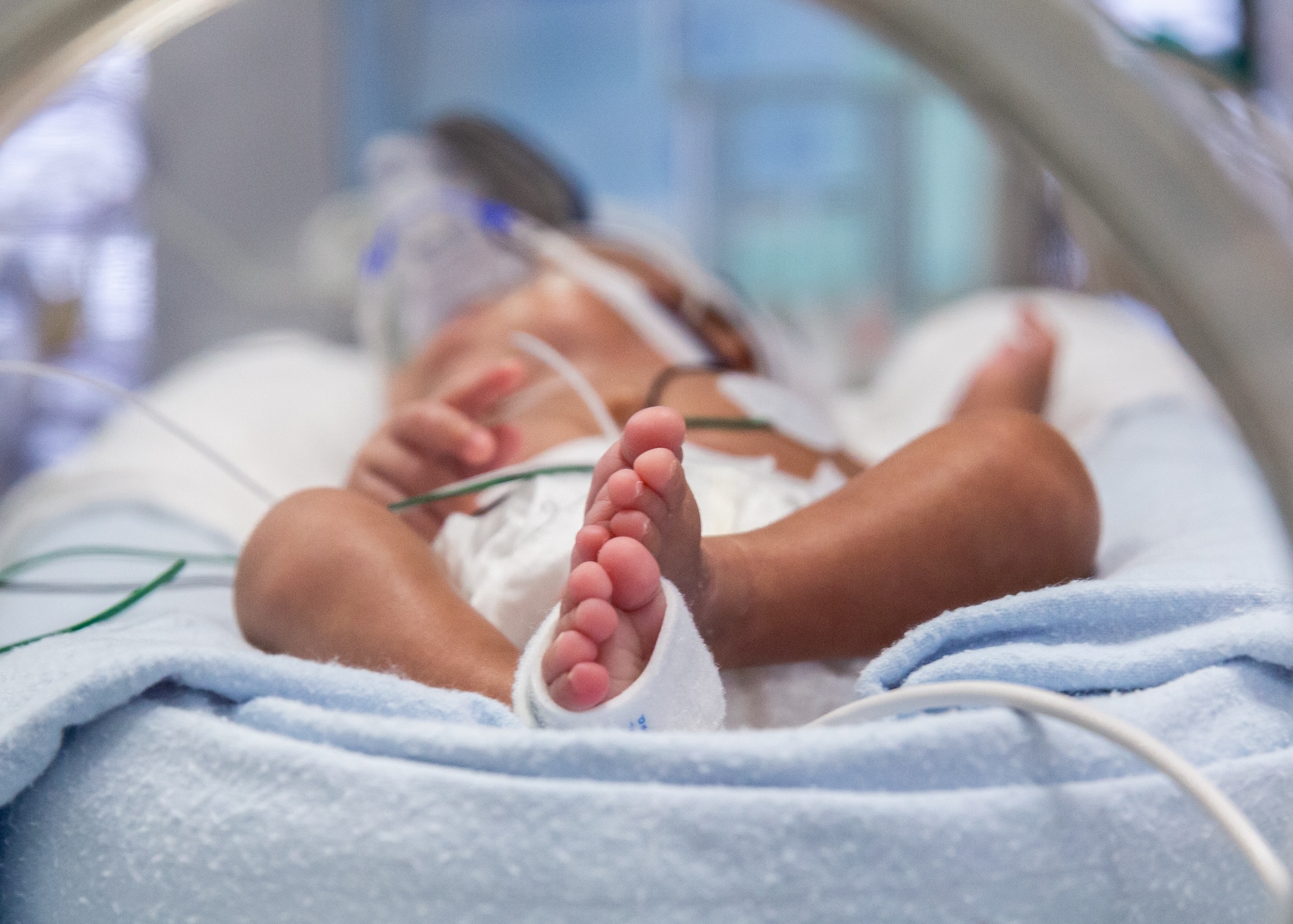 nicu baby in incubator