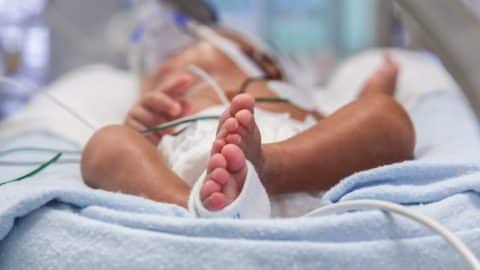 nicu baby in incubator